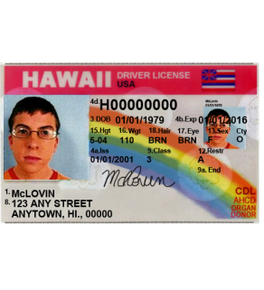 Hawaii Driver's License, Novelty (Enhanced)